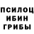Псилоцибиновые грибы Psilocybe Mkk Dikroy