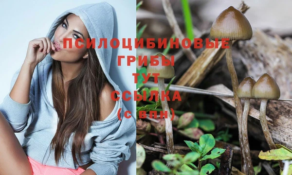 трава Абдулино