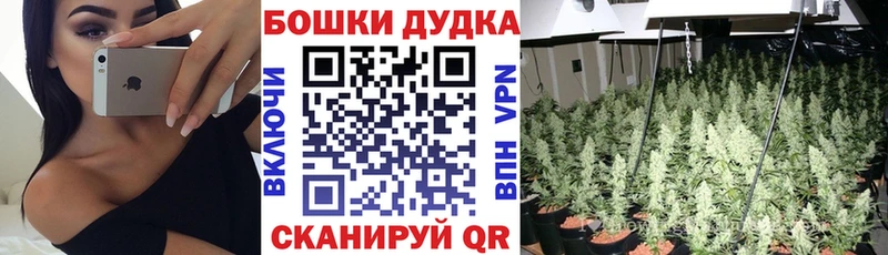 купить наркоту  Никольск  Каннабис Ganja 